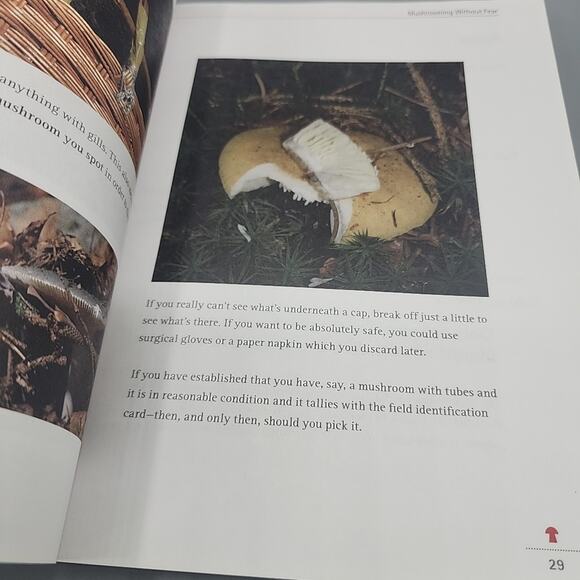 Mushrooming Without Fear: The Beginner's Guide to Collecting Safe & Delicious PB - Picture 10 of 16
